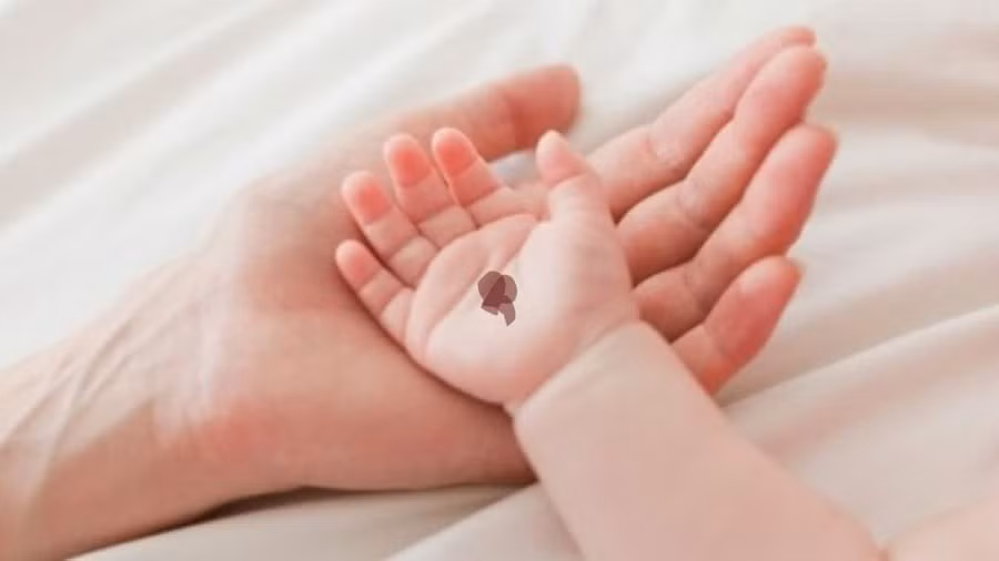 Là người hiền lành, nhẫn nại và kiên cường, trong đời có nhiều quý nhân, tài lộc như cây đầu xuân, chăm chỉ nhất định sẽ thu được kết quả tốt, sau tuổi trung niên thu nhập cao ổn định, con cháu hưởng phúc lớn. (Thông tin mang tính chất tham khảo, chiêm nghiệm).