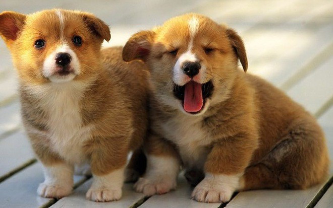 Tài chính nhờ đó dư dả chưa từng thấy, cho phép thoải mái thực hiện kế hoạch cá nhân: sắm sửa Tết cho gia đình, tự thưởng bản thân, hoặc tích lũy cho mai sau. *Thông tin chỉ mang tính tham khảo, chiêm nghiệm.