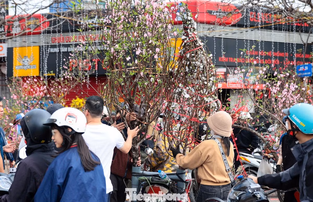 Theo các tiểu thương, chiêu “đồng giá” và “xả hàng cuối năm” được áp dụng đồng loạt nhằm kích cầu và hạn chế tồn hàng. Nhờ mức giá “kịch sàn”, không khí tại các chợ hoa chiều 29 Tết năm nay sôi động hơn thường lệ.