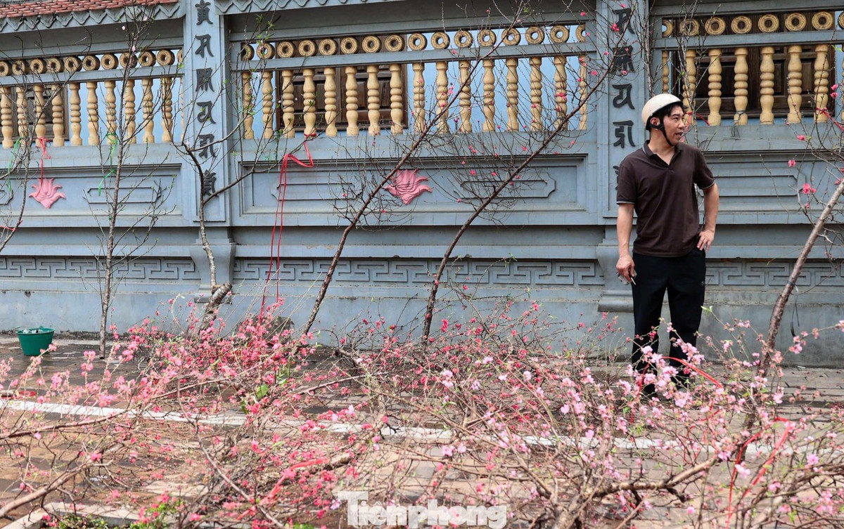 Một tiểu thương tại đây cho biết thay vì cảnh “chặt bán” hoặc dọn hàng sớm như mọi năm, năm nay khách đến đông đến sát tối. “Còn chưa đầy một ngày nữa là Giao thừa nên chúng tôi hạ giá sâu để bán nhanh, thu hồi vốn. Bất ngờ là ngày cuối năm khách càng đông”, người này nói.