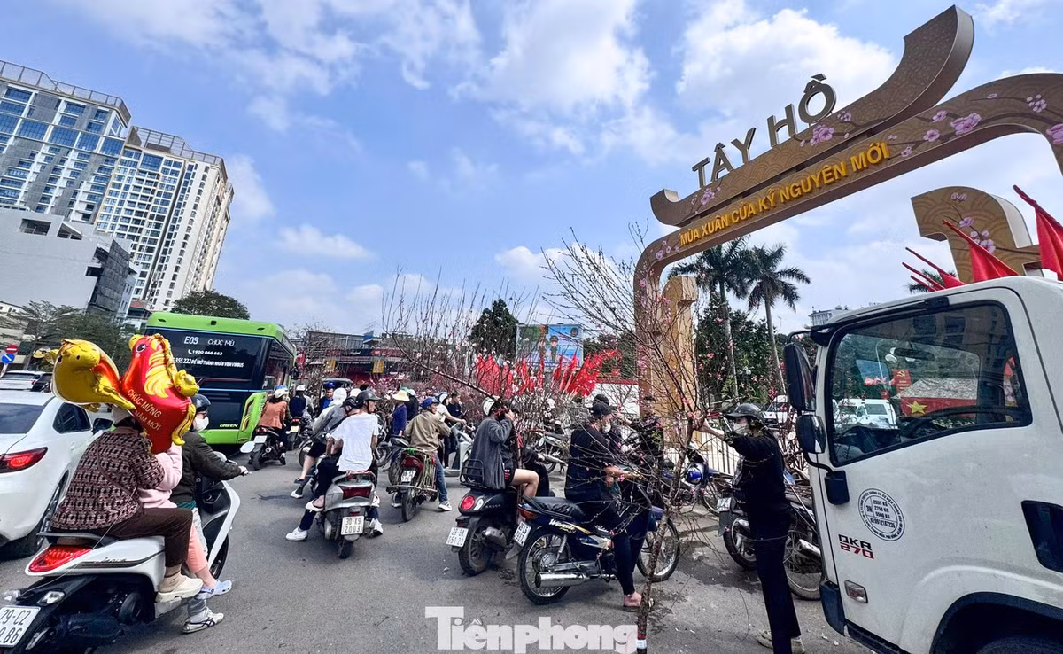 Trên đường Lạc Long Quân, quất mini là mặt hàng hút khách nhất. Nhiều sạp treo biển “99.000 đồng/cây”. Các chậu cao 40-60 cm, quả vàng đều, được nhiều gia đình chọn nhờ giá vừa phải và dễ bày trí.