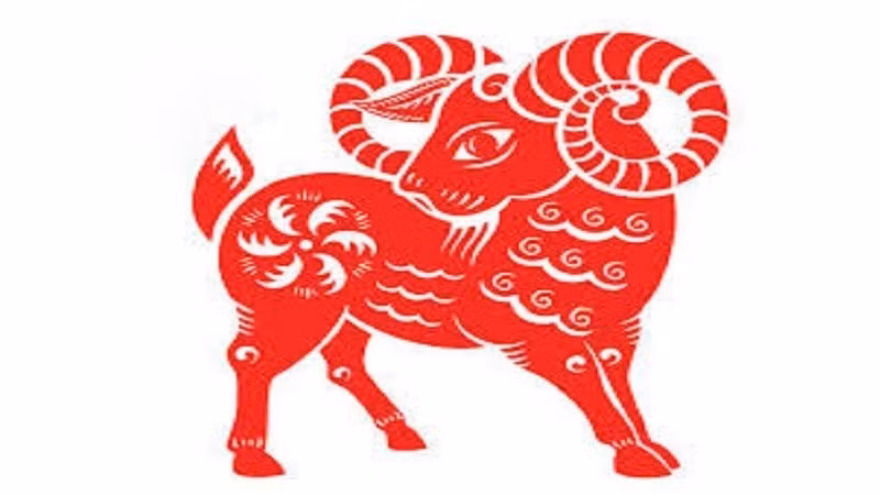 Đáng chú ý, vận trình tài chính thuận lợi trong tháng 2/2026 không chỉ mang tính ngắn hạn mà còn đặt nền móng cho sự ổn định lâu dài. Cuộc sống của người tuổi Mùi dần trở nên nhẹ nhõm hơn, ít lo toan về tiền bạc, đủ đầy cả vật chất lẫn tinh thần. *Thông tin trong bài chỉ mang tính chiêm nghiệm, tham khảo (Theo Sohu)