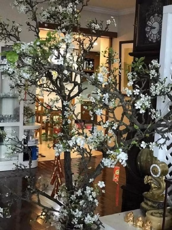  Cách chọn và chăm sóc cành hoa lê: Một cành lê đẹp cần phải có đủ cả hoa quả và lộc. Tuy nhiên khi mua bạn có thể gặp những cành trơ trụi như củi khô. Thế nên tùy theo người yêu thích, có người chọn mua cành phải có cả lộc, hoa, quả, có người chỉ cần cành dáng đẹp, sau mới chú ý hỏi đến hoa. Muốn chơi lâu thì nhiều người chọn cành ít hoa, đem loại này về cắm được cả tháng sau mới hết hoa.