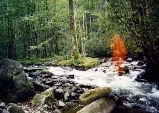 5. Bóng Đỏ Bên Dòng Suối: Chụp tại một khu bảo tồn thiên nhiên, bức ảnh ghi lại một “bóng đỏ” hình người hiện rõ giữa khung cảnh. Nhiếp ảnh gia khẳng định không có ánh sáng chiếu vào ống kính và không hề có người xuất hiện tại thời điểm đó.