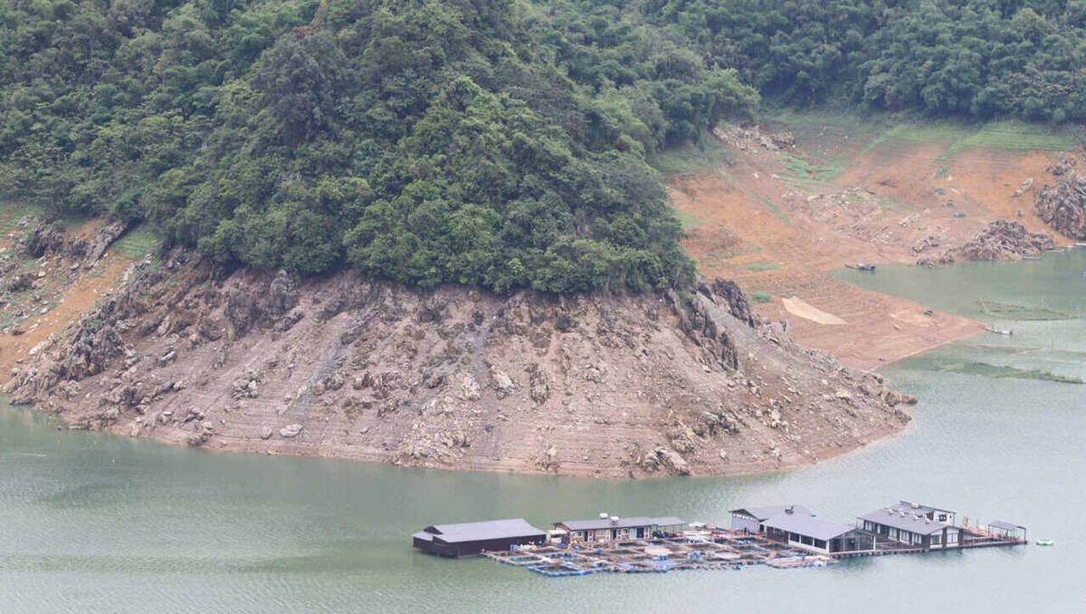 Ông Bùi Văn Kỳ, Chủ tịch UBND xã Hiền Lương thông tin thêm, tình trạng này đang gây ảnh hưởng nghiêm trọng đến đời sống và sản xuất của người dân địa phương. "Trước tình hình đó, chính quyền xã đã chủ động khuyến cáo người dân sử dụng nguồn nước tiết kiệm, hợp lý. Đồng thời, bà con cũng được vận động chuyển hướng sang các hoạt động kinh tế phụ như trồng rau màu trên các bãi đất mới lộ ra, hoặc khai thác tài nguyên sẵn có một cách bền vững", ông Kỳ nói. Ảnh: Đặng Tình