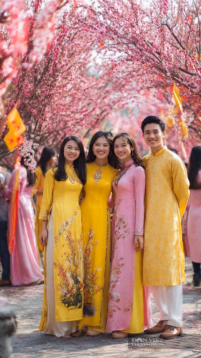 Lời chúc Tết Bính Ngọ 2026 tốt lành: Chúc bạn những lời chúc may mắn cho năm Ngựa.