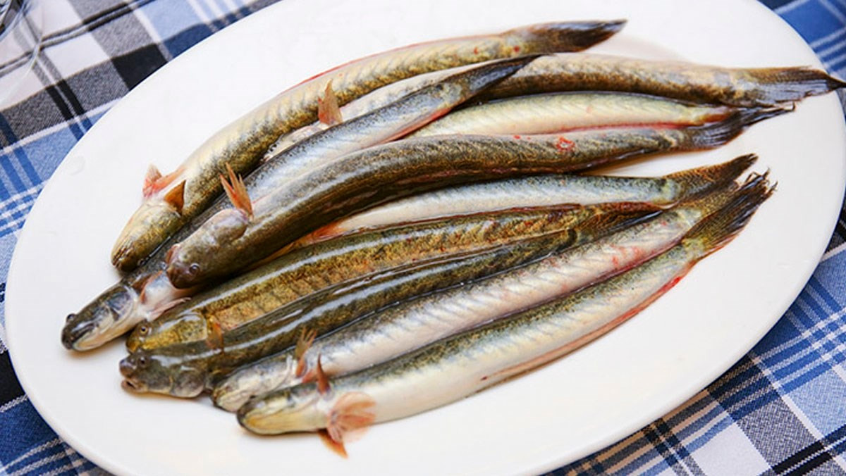 Cá kèo nay có mặt tại nhiều nhà hàng và chợ thực phẩm cao cấp nhờ hương vị đặc trưng, giàu giá trị dinh dưỡng và dễ chế biến.