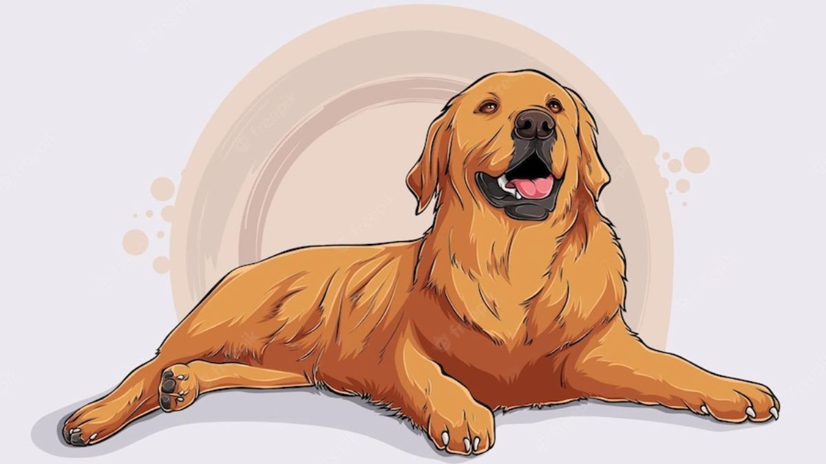  Tuổi Tuất: Tuổi Tuất trung thực, bản lĩnh, thật thà. Tử vi nói trong giai đoạn này được đánh giá là con giáp có phúc phần mạnh, dễ hưởng lộc từ gia đình và tổ tiên. Nguồn thu của họ trở nên dồi dào, lại có quý nhân phù trợ nên vận trình cực kỳ sáng tỏ.