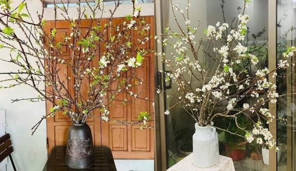 Hoa lê lại chơi được lâu cả tháng vì hết chơi cành lại chơi hoa rồi chơi lộc lá non. Thế nên bày cành lê trong nhà có thể tận hưởng vẻ đẹp của chúng từ lúc là cành củi khô tới khi lá xanh mơn mởn, thời gian có thể tới cả hai tháng.