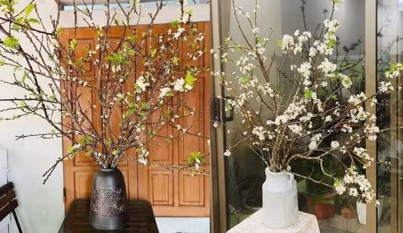 Hoa lê lại chơi được lâu cả tháng vì hết chơi cành lại chơi hoa rồi chơi lộc lá non. Thế nên bày cành lê trong nhà có thể tận hưởng vẻ đẹp của chúng từ lúc là cành củi khô tới khi lá xanh mơn mởn, thời gian có thể tới cả hai tháng.