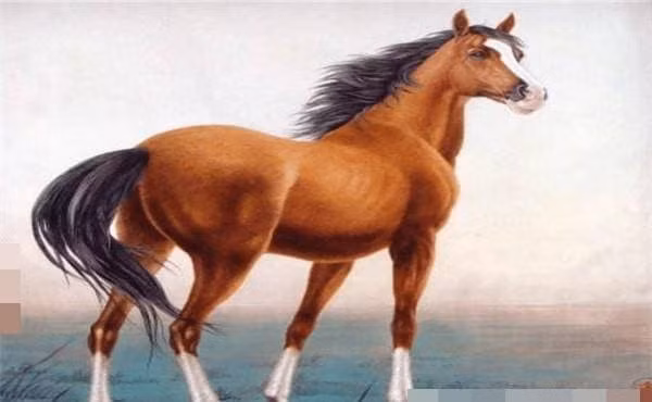 Chỉ cần chủ động hơn, bản mệnh sẽ được chú ý. Có thể là tham gia sự kiện, livestream, dẫn chương trình, lên kế hoạch quảng bá...