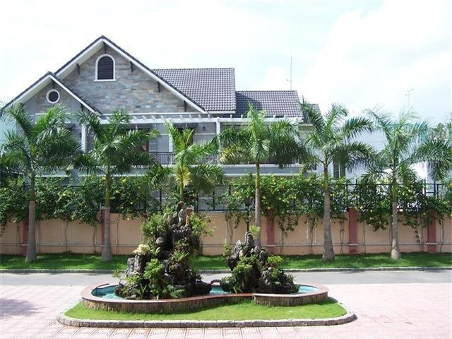 Thân cau thẳng đứng, tán lá gọn gàng giúp không gian trước nhà luôn thông thoáng, không bị che khuất tầm nhìn. Điều này thúc đẩy khí lưu thông tốt hơn, mang lại nguồn năng lượng tích cực cho ngôi nhà.