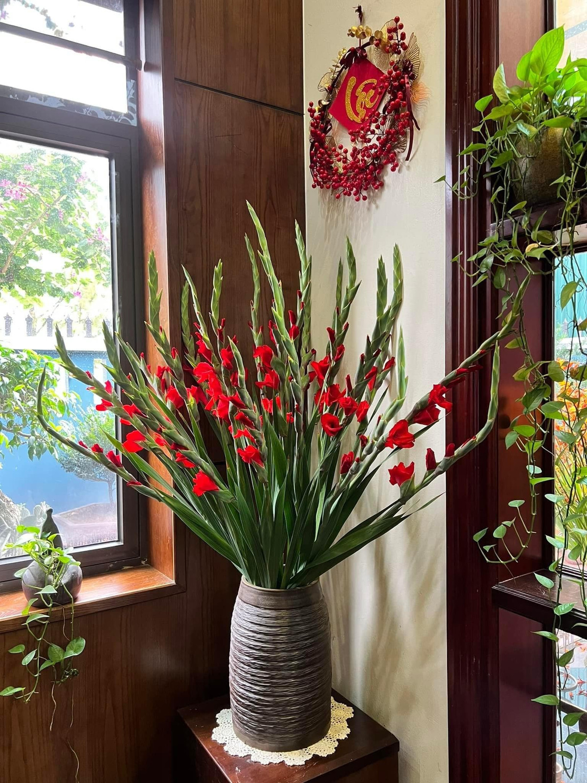 Người xưa cho rằng, lay ơn đỏ còn có ý nghĩa phúc lộc và phú quý, có thể mang lại giàu có, phước lành và sự thịnh vượng cho gia đình. Cây cảnh này còn được gọi là huệ kiếm vì những chiếc lá vươn thẳng, sắc nhọn giống như thanh kiếm sắc bén có thể ngăn chặn những điều xấu vào nhà.