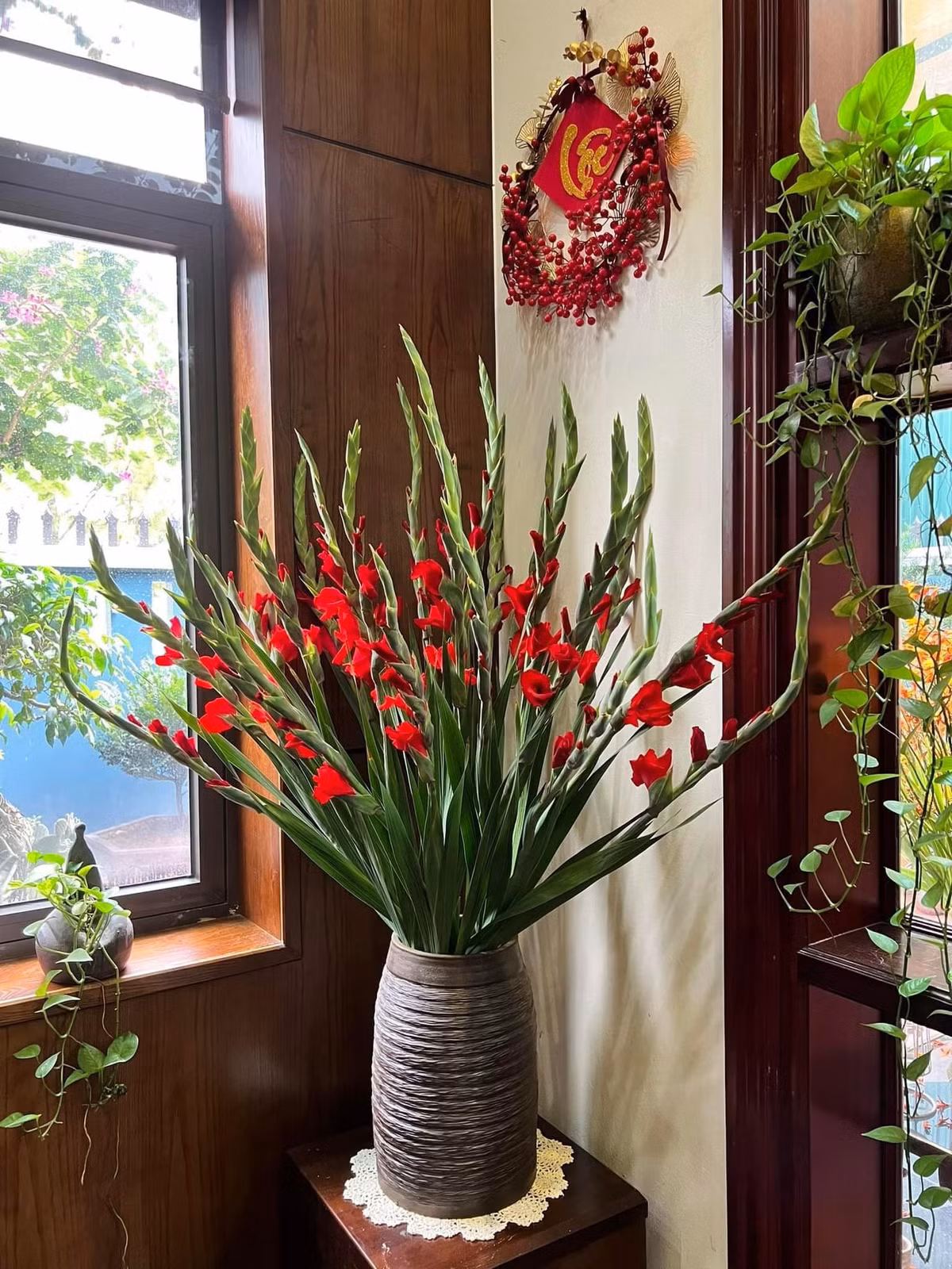 Người xưa cho rằng, lay ơn đỏ còn có ý nghĩa phúc lộc và phú quý, có thể mang lại giàu có, phước lành và sự thịnh vượng cho gia đình. Cây cảnh này còn được gọi là huệ kiếm vì những chiếc lá vươn thẳng, sắc nhọn giống như thanh kiếm sắc bén có thể ngăn chặn những điều xấu vào nhà.