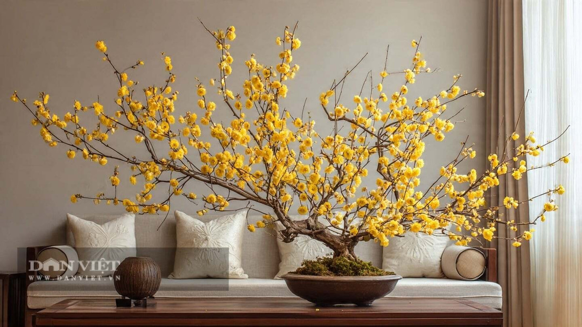 4. Mận vàng mùa đông – hương thơm gọi may mắn: Mận vàng mùa đông (Wintersweet) gây mê hoặc bởi những bông hoa vàng óng nở giữa giá lạnh, tỏa hương thơm ngọt ngào, tinh tế. Hoa thường nở gần Tết, tượng trưng cho sự hồi sinh, giàu có và niềm vui viên mãn trong năm mới.