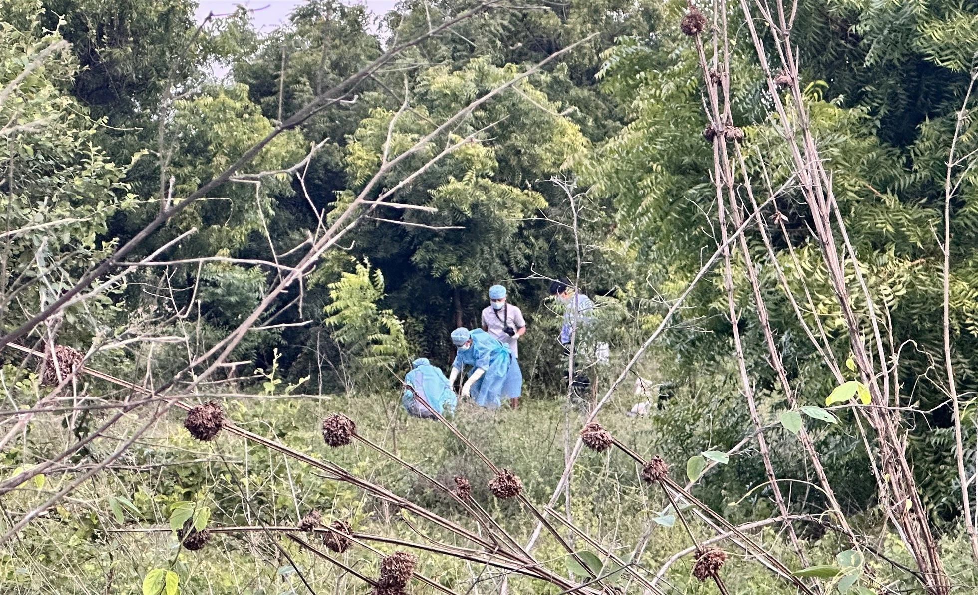 Bé gái chăn bò chết tức tưởi dưới tay gã hàng xóm dã tâm 