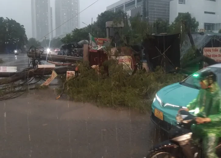 Mưa giông lớn bất ngờ, nhiều cây ở Hà Nội bị đổ