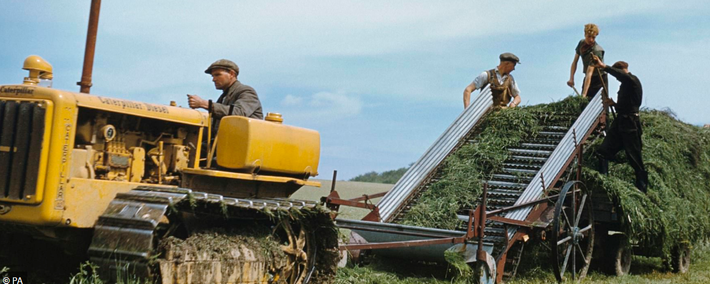 Bất chấp chiến tranh, những người nông dân đang cắt cỏ ở Eynsford, Kent, năm 1943. Ảnh: DM.
