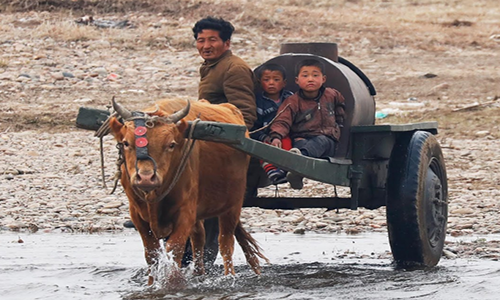 Xe bò là một trong những phương tiện di chuyển của người dân ở vùng nông thôn Triều Tiên này.
