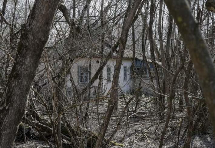 Một ngôi nhà ở làng Zalesye bị bỏ hoang gần nhà máy điện hạt nhân Chernobyl.