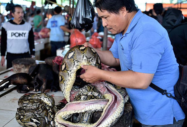 Người đàn ông bày bán thịt trăn. (Nguồn ảnh: Daily Mail)