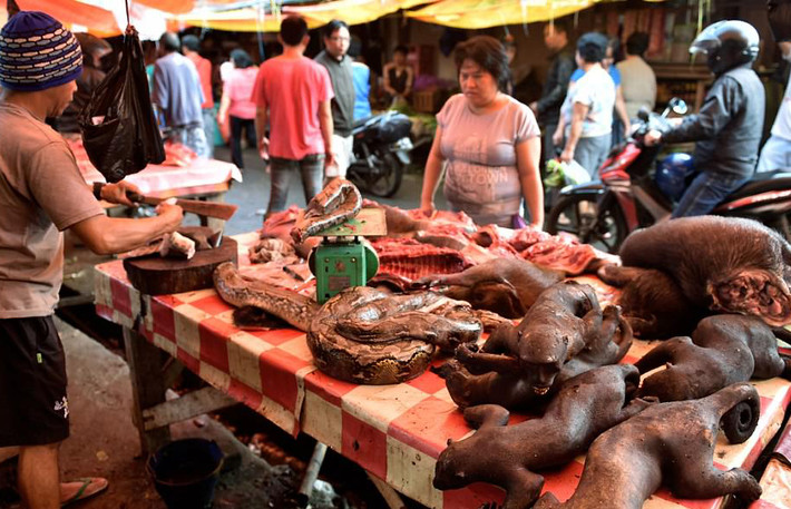 Các nhà hoạt động đang cố gắng thuyết phục dân làng trên hòn đảo ở Indonesia này chấm dứt việc mua bán khỉ và những loài vật khác.