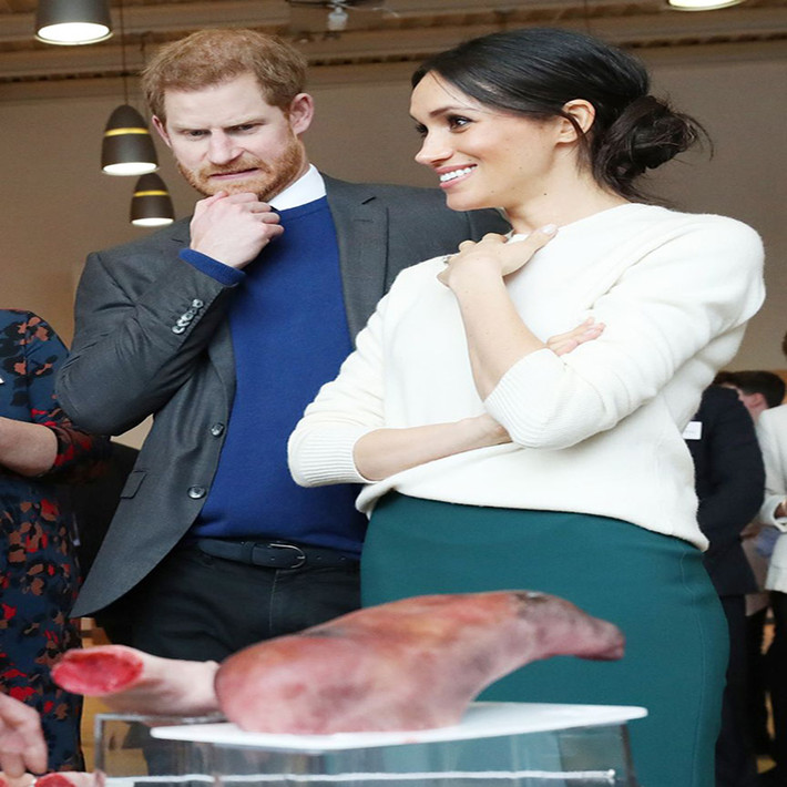 Biểu cảm của Hoàng tử Harry và Công nương Meghan Markle khi nhìn thấy mô hình tay, chân giả do Công ty Titanic FX chế tạo trong chuyến thăm công viên khoa học Catalyst Inc ở Belfast, Bắc Ireland.