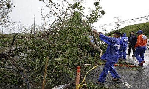 Sức gió kinh hoàng đã làm nhiều căn nhà tốc mái, cây cối bật gốc, cột điện gãy đổ. Theo các cơ quan khí tượng của Philippines, sức khó trung bình của bão Mangkhut lên đến 170 km/h, có lúc giật đến 260 km/h. Ảnh: AP.