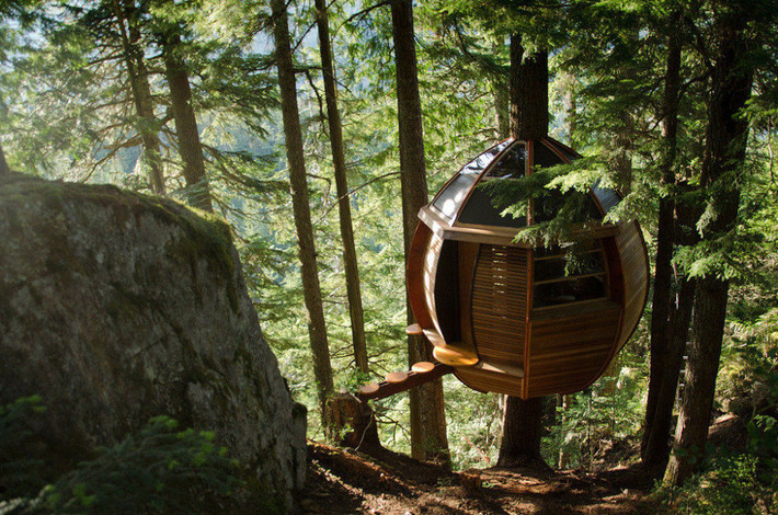 Nhà cây HemLoft được xây dựng ở Whistler, Canada. Trong ngôi nhà đặc biệt này không có phòng tắm hay nhà bếp mà chỉ có một phòng khách.