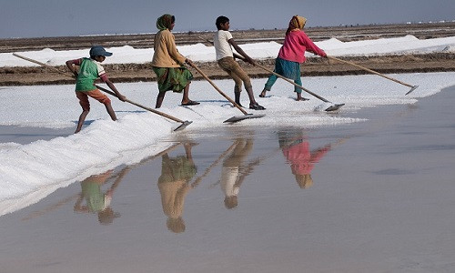 Một gia đình Agariya đang làm việc ở ruộng muối Rann of Kutch. Những đứa trẻ Agariya thường bắt đầu làm ở ruộng muối này từ năm 10 tuổi.