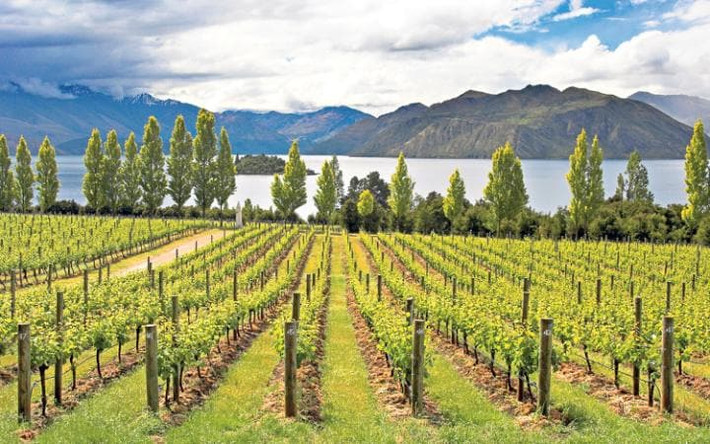 New Zealand cũng là một trong những quốc gia thanh bình nhất thế giới.