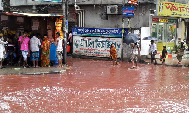 Được biết, hàng nghìn chú cừu, dê, bò đã bị giết trong dịp lễ Eid al-Adha ở Bangladesh.
