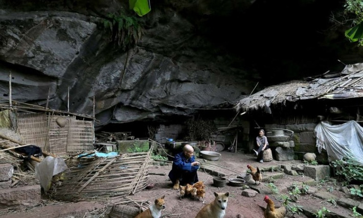 ...và trồng rau, nuôi gà.