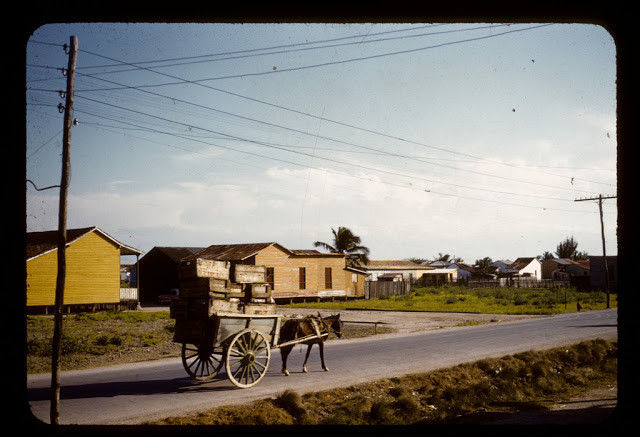 Một con đường vắng bóng người qua lại ở La Isabela hồi năm 1956.