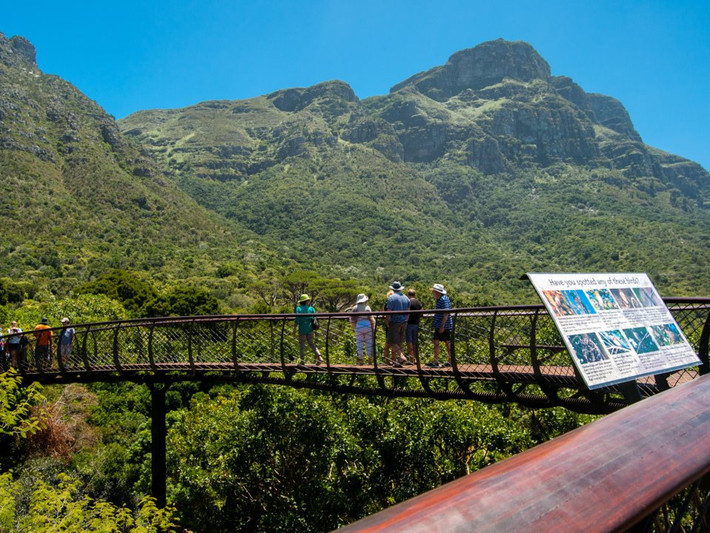 Vườn thực vật quốc gia Kirstenbosch ở Cape Town, Nam Phi.