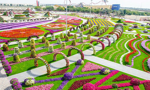 Khu vườn kỳ diệu Dubai ở Dubai, Các Tiểu vương quốc Ả-rập Thống nhất (UAE), là vườn hoa tự nhiên lớn nhất thế giới. Theo CNN, khu vườn tập trung 60 loài hoa khác nhau này thu hút hơn 1 triệu du khách mỗi năm.