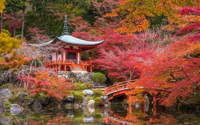 Kyoto - cố đô hơn 1.000 năm tuổi - là điểm hẹn hàng đầu của du lịch Nhật Bản.