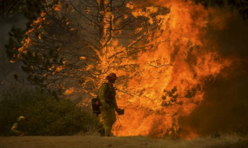 Theo Cục Quản lý và Phòng chống Cháy rừng California (Cal Fire), vụ cháy rừng dữ dội tại miền bắc California đã thiêu rụi nhiều ngôi nhà và khiến hàng nghìn người dân phải sơ tán.