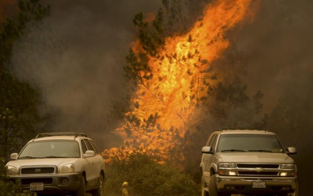 Đám cháy Valley Fire bùng phát vào chiều 12/9 và nhanh chóng lan rộng ra diện tích 4.047 hecta rừng.