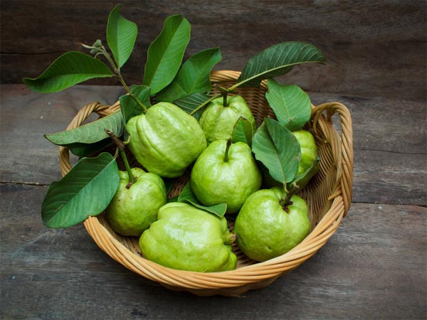 8. Trị mụn và vết thâm: Loại lá này có chất khử trùng tự nhiên và tiêu diệt vi khuẩn là nguyên nhân gốc rễ của mụn trứng cá. Bạn có thể nghiền lá hoặc xay chúng và đắp lên da trong vài ngày để đạt được hiệu quả. Ảnh: Boldsky.