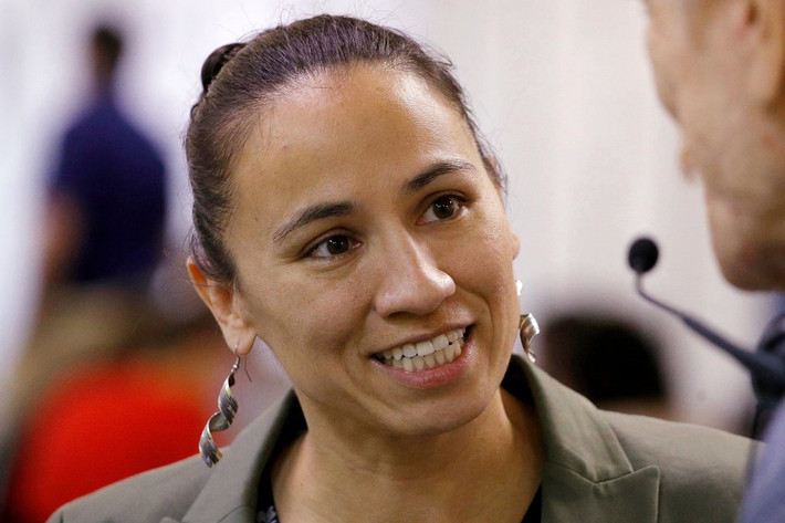 Bà Sharice Davids là một trong hai phụ nữ người Mỹ bản địa đầu tiên được bầu vào Quốc hội Mỹ khi giành chiến thắng trước “đối thủ” Đảng Cộng hòa Kevin Yoder tại điểm bầu cử số 3 của bang Kansas hôm 6/11 vừa qua.