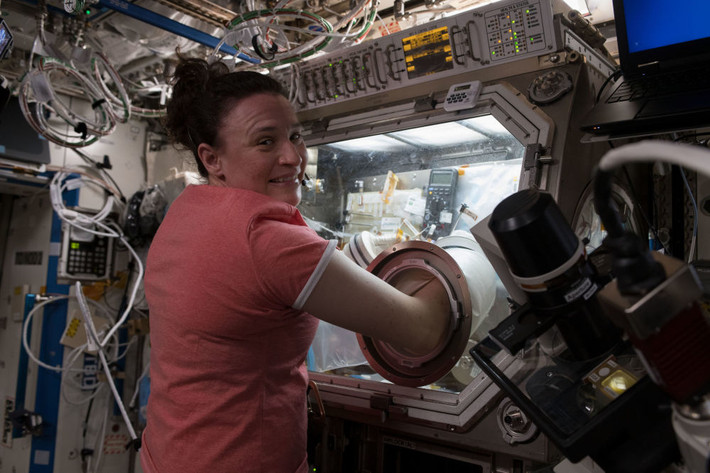 Phi hành gia Serena Aunon-Chancellor của NASA đang bận rộn với công việc của mình.