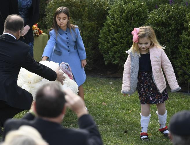 Arabella Rose Kushner (trái) chạm vào chú gà tây Peas vừa được xá tội. Ảnh: UPI.