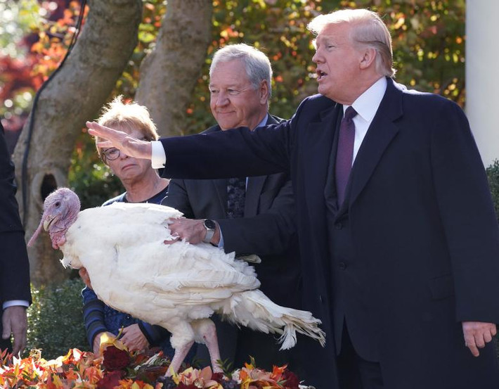Đây là lần thứ hai Tổng thống Trump thực hiện nghi thức này trên cương vị người đứng đầu nước Mỹ. Ảnh: Reuters.