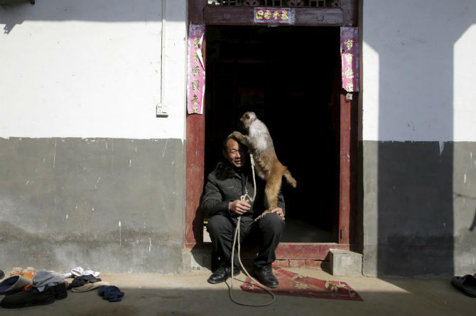Ông Zhang Zhijie đùa vui cùng chú khỉ trước nhà ngày 3/2.