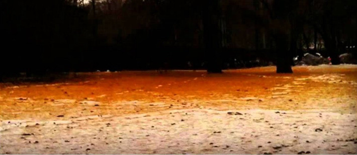 Tuyết màu cam là một sự thật bất ngờ về nước Nga. Năm 2007, Siberia (Nga) chứng kiến cảnh tuyết rơi màu cam. Các nhà khoa học và chuyên gia nghiên cứu chưa thể tìm ra nguyên nhân của hiện tượng này. Tuy nhiên, một số người cho rằng, tuyết màu cam là do tình trạng ô nhiễm.
