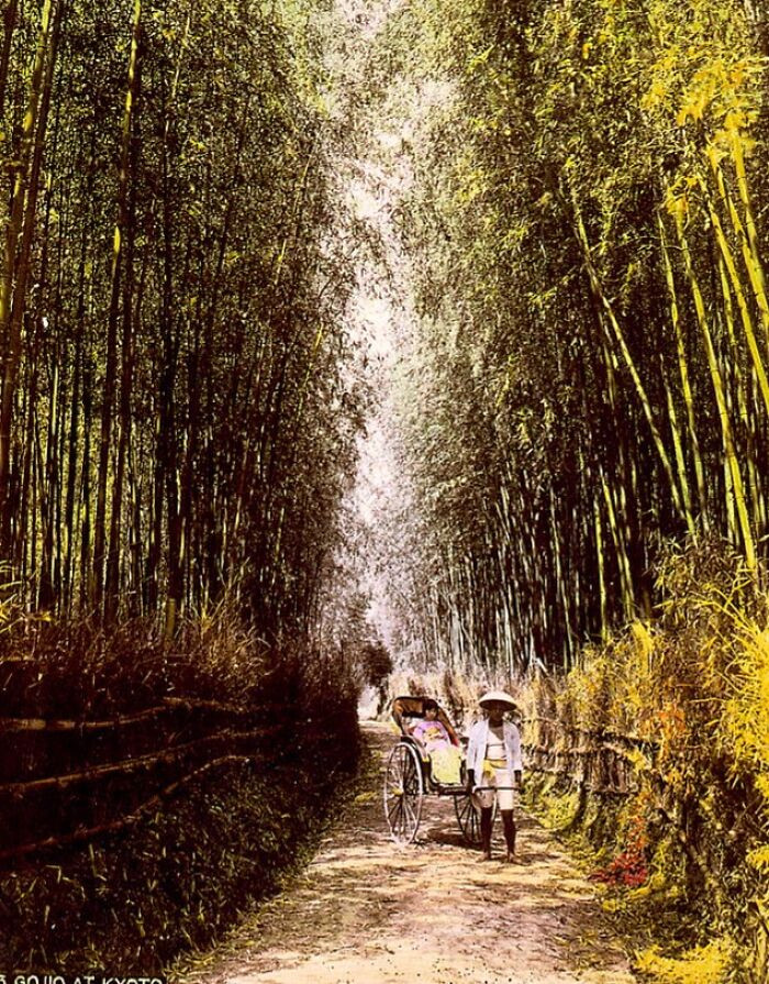 Người kéo xe tại Kyoto.