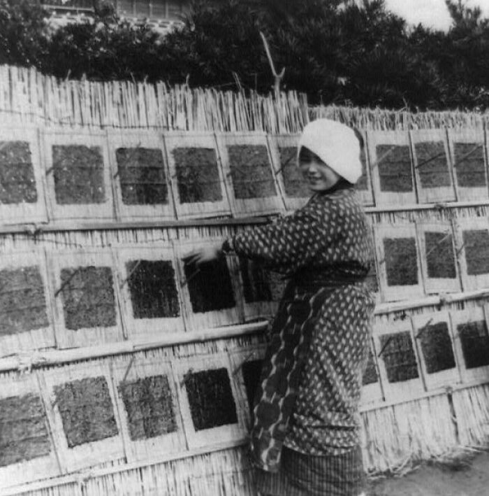 Người phụ nữ đặt rong biển lên giá để phơi khô.