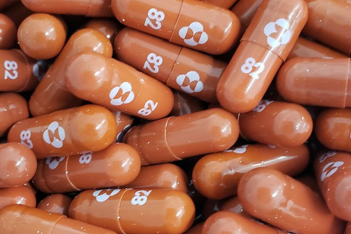 Trong đó, thuốc Molnupiravir là dạng viên uống, do hãng dược phẩm Mỹ Merck và công ty Ridgeback của Đức nghiên cứu phát triển. Ảnh: Reuters.