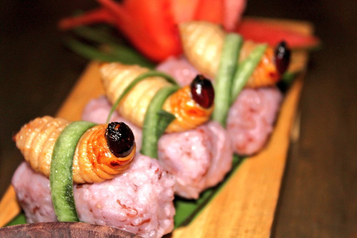 8. Sago Grubs: Đây là món ăn được người dân Malaysia coi là cao lương mĩ vị. Họ thưởng thức món ăn này bằng cách vặn bỏ đầu những sinh vật này và nuốt sống chúng. Người dân nơi đây cho rằng, món ăn rất giàu vitamin, khoáng chất, chất béo tốt và ít cholesterol hơn các loại thịt khác.